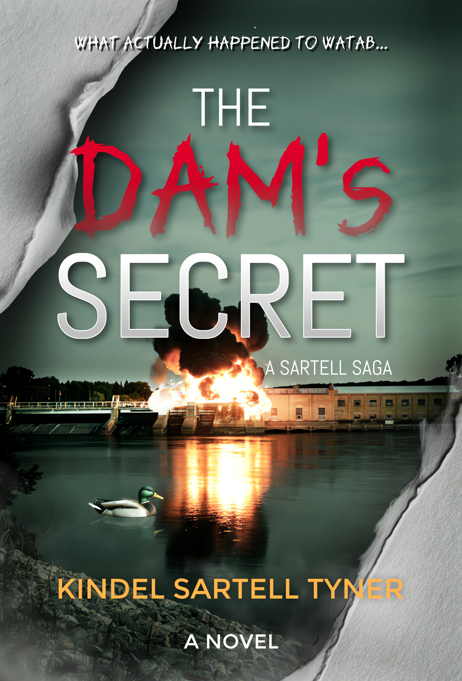The Dam's Secret book cover